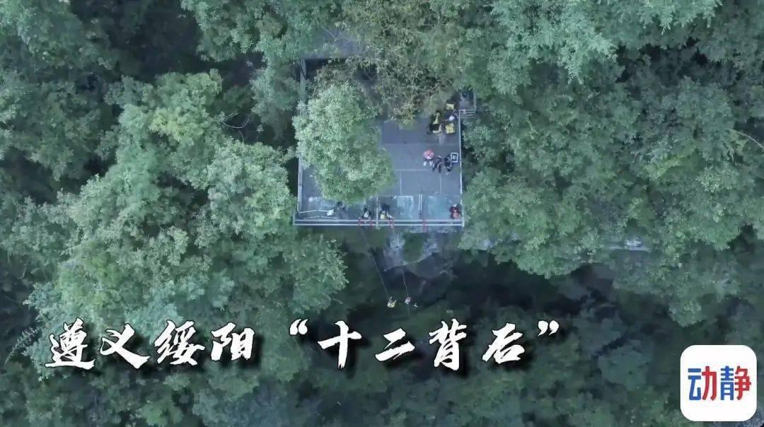 小猫钓鱼正版下载中文版