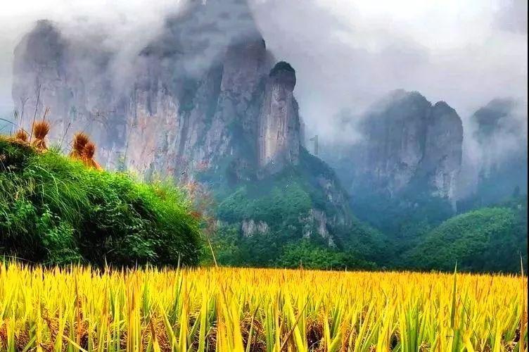 加入北京地铁北工大西门站到北京西站地铁多少分钟?知识星球,拓宽你的知识领域