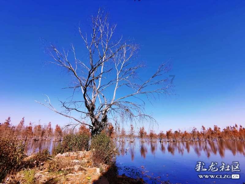“怀瑾握瑜兮,穷不知所示”这几句话是什么意思?-专业问答网站,快速获得准确答案