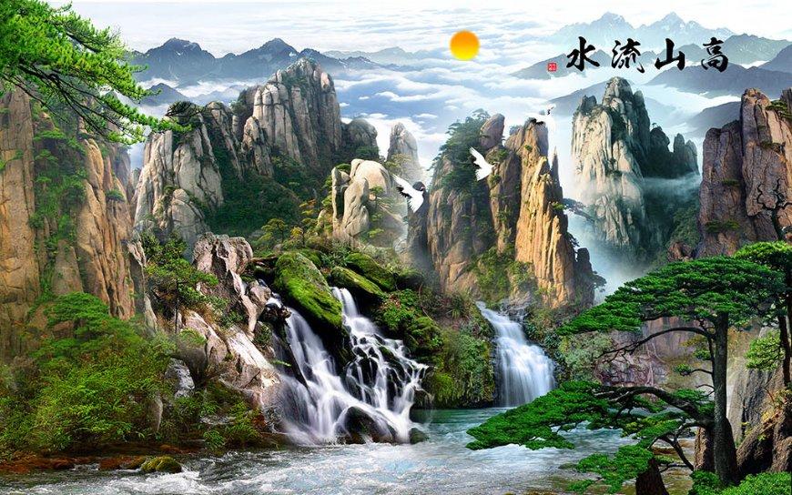 敏捷的白球