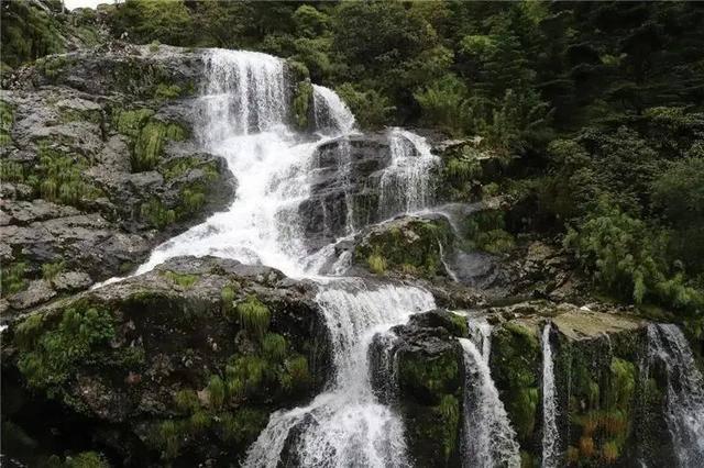 欧洲人的这项农业地理大发现,在中国已经用了几千年